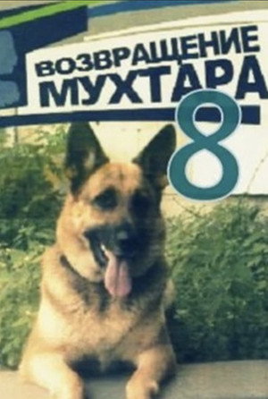 Возвращение Мухтара 8. évad (2012-09-06) poszter