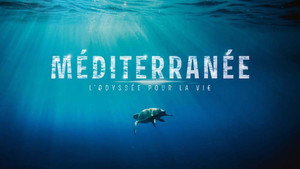 Átalakulóban a mediterrán élővilág kép