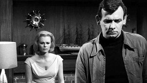 The Fugitive 1. évad Ep.29 29. epizód