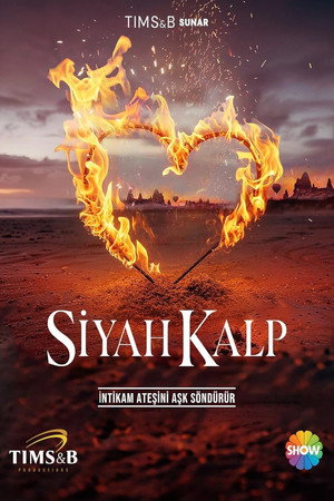 Fekete szív – A Sansalan család titka poszter