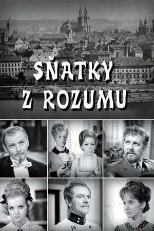 Sňatky z rozumu poszter