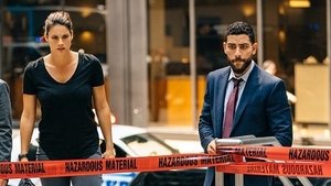 FBI: New York különleges ügynökei 1. évad Ep.2 Zöld madarak