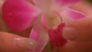 Twin Peaks 2. évad Ep.5 Az orchidea átka