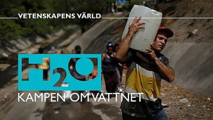 Vetenskapens värld 47. évad Ep.3 3. epizód