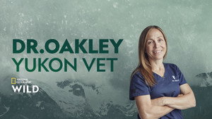 Dr. Oakley házhoz megy kép