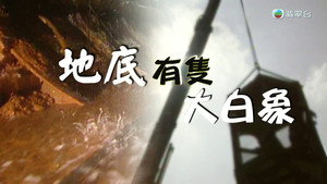 新聞掏寶 1. évad Ep.265 265. epizód