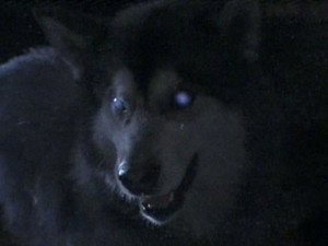 Are You Afraid of the Dark? 6. évad Ep.7 7. epizód