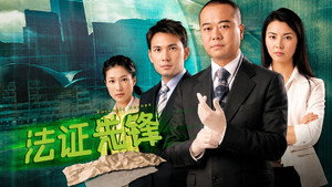 法证先锋 kép