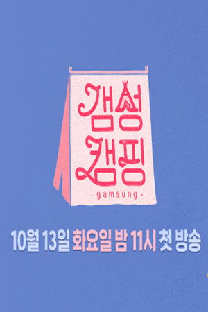 갬성캠핑 poszter