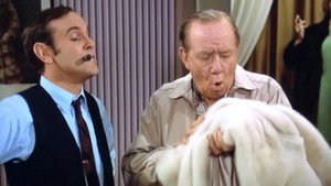 The Andy Griffith Show 8. évad Ep.25 25. epizód