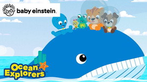 Baby Einstein Ocean Explorers kép