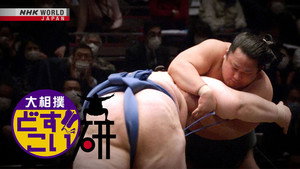 DOSUKOI Sumo Salon 1. évad Ep.4 4. epizód