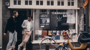 Narcotrafic, le poison de l’Europe kép