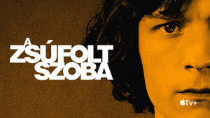A zsúfolt szoba kép