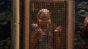 I'm a Celebrity...Get Me Out of Here! 21. évad Ep.14 14. epizód