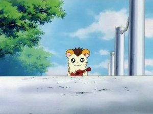 とっとこハム太郎 1. évad Ep.10 10. epizód
