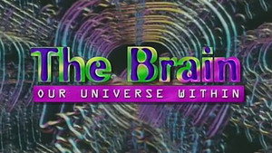 The Brain: Our Universe Within kép