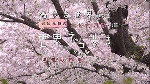岩合光昭の世界ネコ歩き Speciális epizódok Ep.6 6. epizód