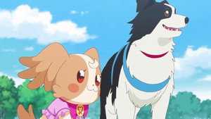 わんだふるぷりきゅあ！ 1. évad Ep.22 22. epizód