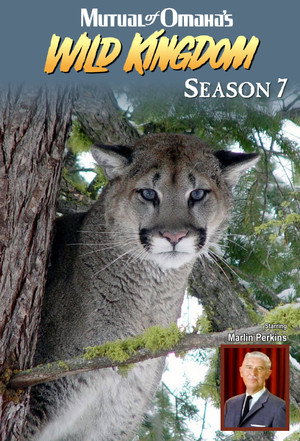 Mutual of Omaha's Wild Kingdom 7. évad (1969-01-05) poszter