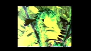 The Living Dead kép