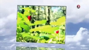 Moterys meluoja geriau 5. évad Ep.7 7. epizód