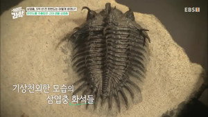 취미는 과학 1. évad Ep.10 10. epizód