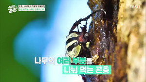 취미는 과학 1. évad Ep.9 9. epizód