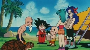Dragon Ball 1. évad Ep.47 Zseniális Teknős szigetén