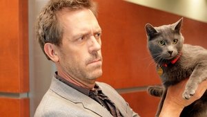 Dr. House 5. évad Ep.18 Cicc-cicc!