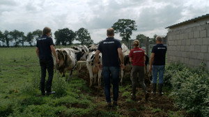 Boer zoekt Vrouw 13. évad Ep.5 5. epizód