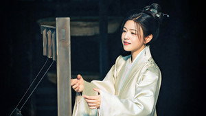 藏海传 kép