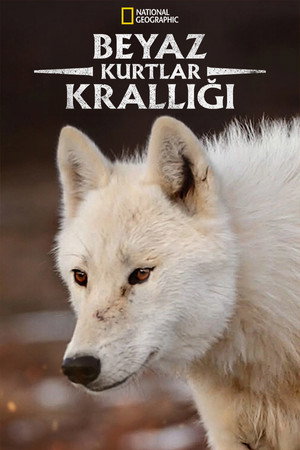 A fehér farkas birodalma poszter