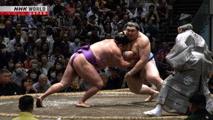 GRAND SUMO Highlights 29. évad Ep.7 7. epizód