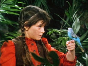 Swiss Family Robinson 1. évad Ep.15 15. epizód