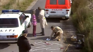 Rejseholdet kép