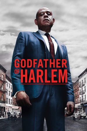 Godfather of Harlem poszter