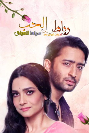 Pavitra Rishta - It's Never Too Late poszter