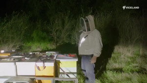 Charlie Bee Company 2. évad Ep.1 1. epizód