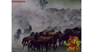 射雕英雄传 kép