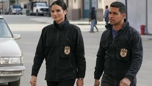 NCIS: Tengerészeti helyszínelők 20. évad Ep.14 14. epizód