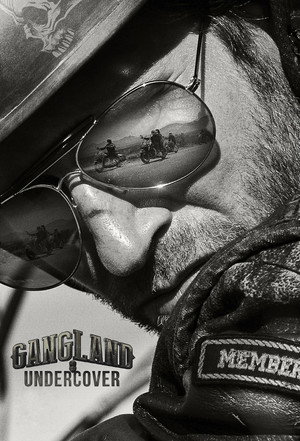 Gangland Undercover poszter