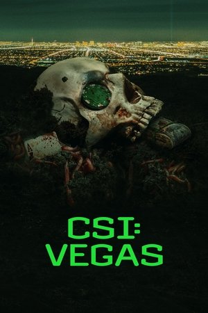 CSI: Las Vegas-i helyszínelők poszter