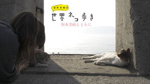 岩合光昭の世界ネコ歩き Speciális epizódok Ep.3 3. epizód