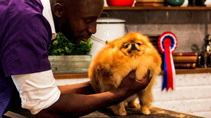 Pooch Perfect 1. évad Ep.4 4. epizód