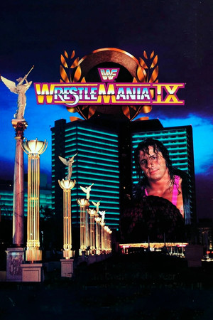 WWE Pay Per View 9. évad (1993-01-24) poszter