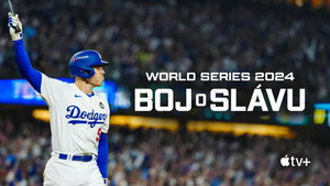 Fight for Glory: 2024 World Series kép