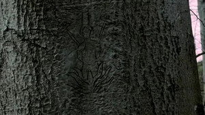 Wire in the Blood 2. évad Ep.2 2. epizód