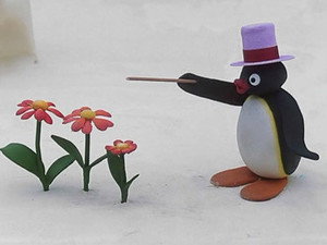 Pingu 4. évad Ep.16 Pingu kívánsága
