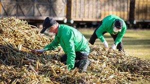The Amazing Race Australia 5. évad Ep.1 1. epizód